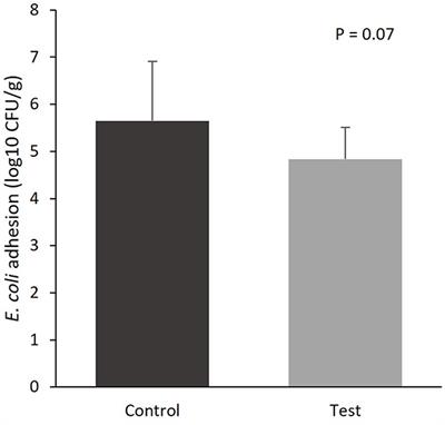 Araceae root and citrus fibers tend to decrease Escherichia coli adhesion and myeloperoxidase levels in weaned piglets